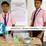 Science-Fair5, Best Science School near Me