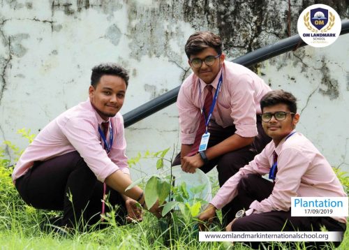 Plantation-1