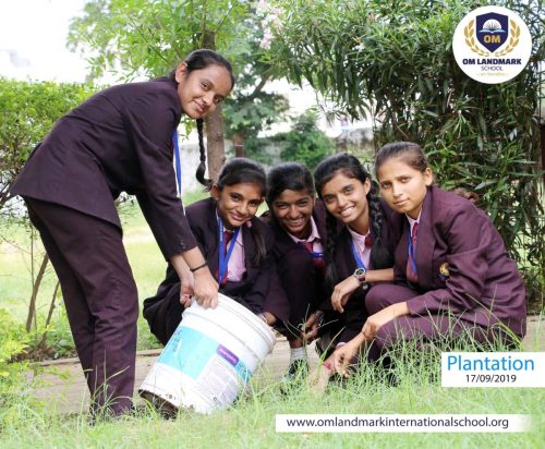 Plantation-2