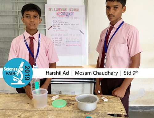 Science-Fair5